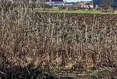 Spațiu comercial, în Central - 5