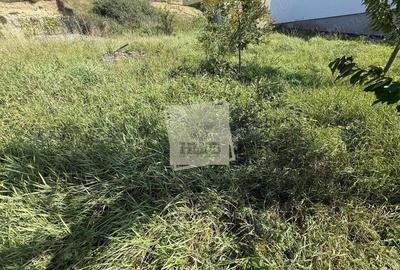 Casă cu 2 camere cu Canalizare în Șura Mare - 4