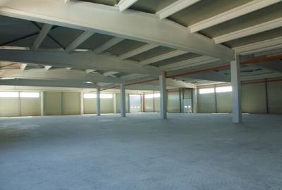 Spațiu industrial, de 12,100 mp, în Bolintin-Deal - 4