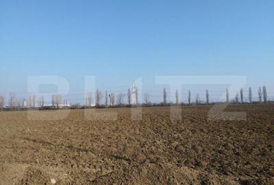 Teren de 10000 mp, în Central