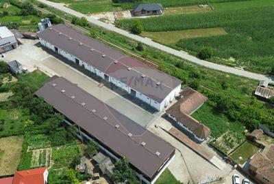 Spa?iu industrial de vanzare in Sangeorgiu de Padure... - 2