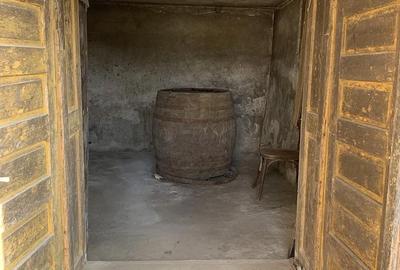 Casă cu 3 camere cu Teren 30 Mp în Silivașu de Câmpie - 10