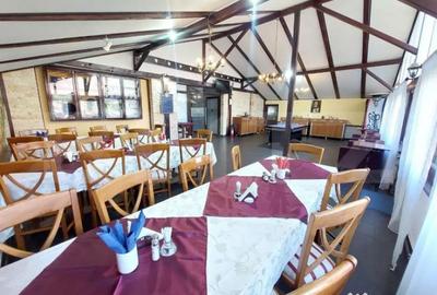 Casă cu 15 camere cu Teren 100 Mp în Albert - 1