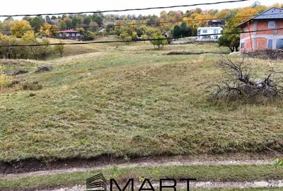 Teren de 1255 mp, în Cisnădioara - 3