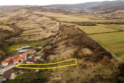 Teren intravilan de 2291 mp, în Nord-Vest - 5