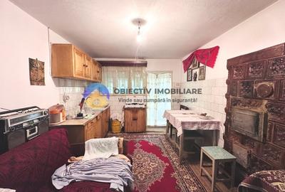 Casa traditionala Bodesti - 5