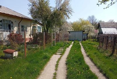 Casă cu 3 camere în Crucișoara - 11