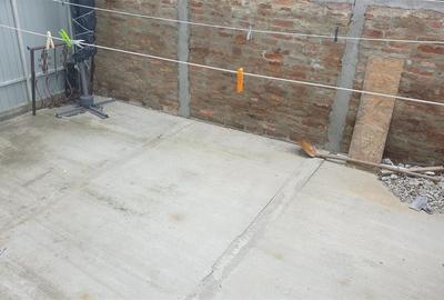 Casă individuală cu 2 camere cu Canalizare în Brăilița - 16