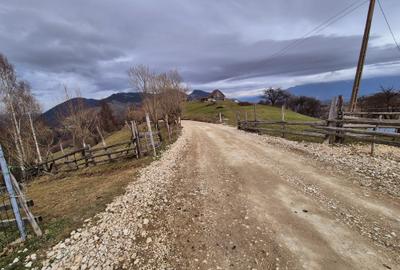 Teren investitie Pestera/ 13570mp extravilan/Comision 0 % - 7