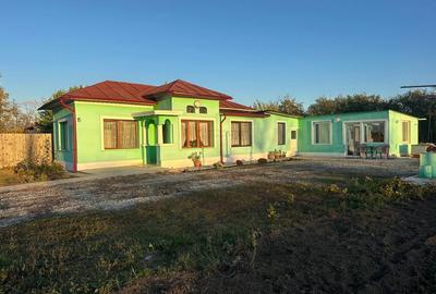 Casă cu 3 camere în Teiu - 8