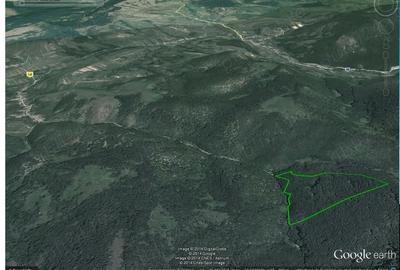 Teren de 85000 mp, în Dobra - 5