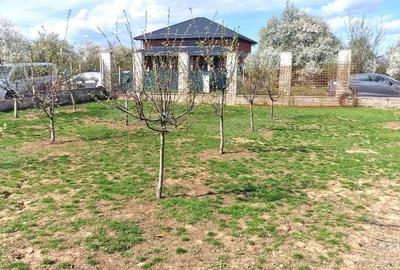 Teren de 1260 mp, în Snagov - 5