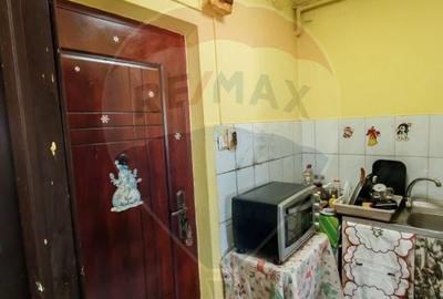 Apartament cu 1 camere de vanzare in zona ISR - 3