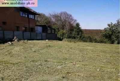 Teren Construcții intravilan de 1700 mp, în Cocoșești - 2