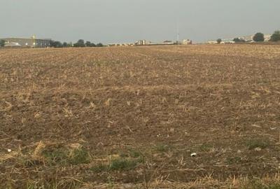 Teren Construcții intravilan de 2500 mp, în Brănești