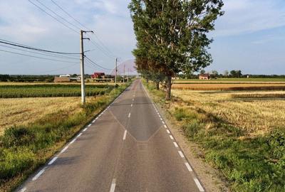 Teren Vanatori / Strada DJ204E Spre Mircesti - 6