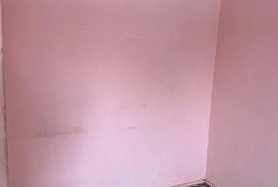 Apartament cu 2 camere semidecomandat în Rahova - 4