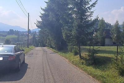 Teren de 6450 mp, în Neagra - 15