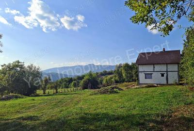 Casă cu 4 camere cu Teren 5051 Mp în Corbeni - 4