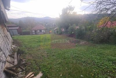 Casa batraneasca cu teren (4.910 mp) la Alunis - 6