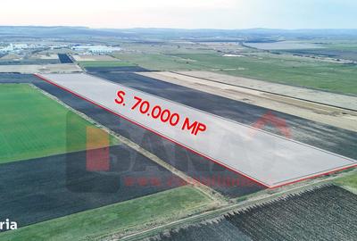 Teren de 70000 mp, în Șura Mică - 5