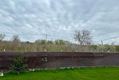 Spațiu comercial, în Valea Lupului - 8