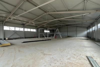 Spațiu industrial, de 560 mp, în Cernica - 14