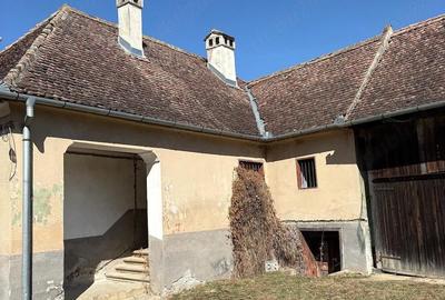 Casă cu Teren 10000 Mp în Băla - 4