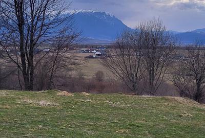 Spațiu comercial, în Central - 2