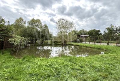 Casă individuală cu 2 camere cu Canalizare în Grigorescu - 5