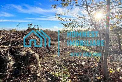 Stefanestii de Jos iIlfov | Teren 996.08 mp - 4