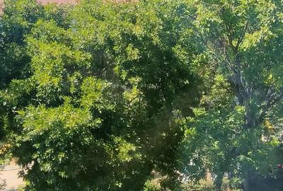 Apartament 2 camere Gh Lazar de vanzare - 7