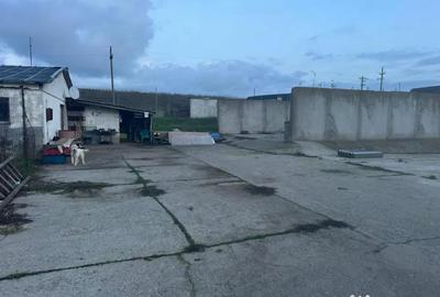 Teren în Valu lui Traian - 11