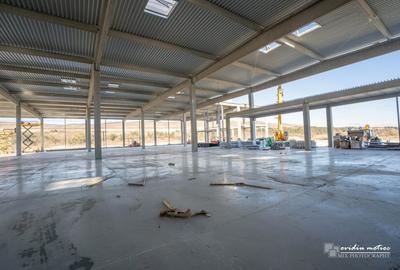 Hale clasa A, suprafete de la 1300 la 9000 mp - 6