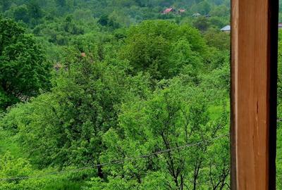 Casă cu 2 camere în Berislăvești - 10