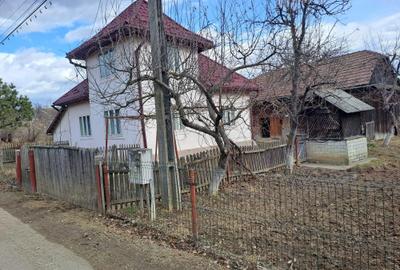 Casă cu 3 camere în Cacica - 4