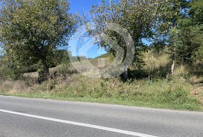 Teren Construcții intravilan de 1300 mp, în Cornățel - 3