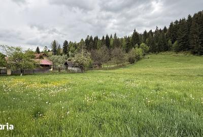 Teren de 2869 mp, în Fundu Moldovei - 4