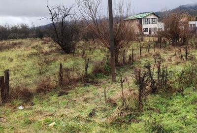 Spațiu comercial, în Central