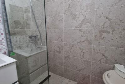 Apartament cu 2 camere în Colentina - 3