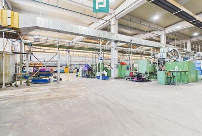 Hală industrială modernă, Șagului - 3