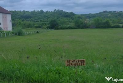 Teren de 4443 mp, în Sânmartin - 4