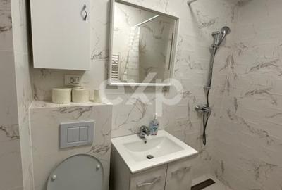 Apartament cu 2 camere decomandat, mobilat în Trivale - 3