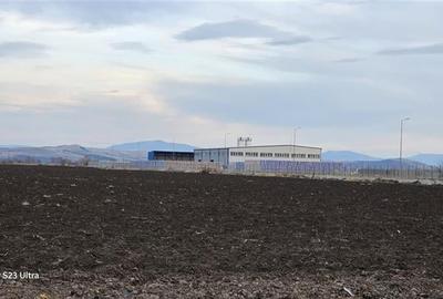 Teren Construcții extravilan de 30700 mp, în Feldioara - 6