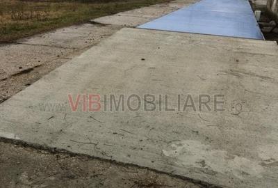 Teren de 301252 mp, în Biled - 19