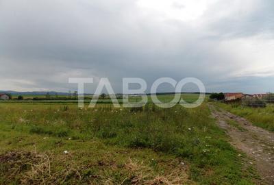 Teren de vanzare 10000 mp CF 107274 deschidere de 42 m in Sura Mica - 5