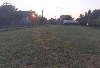 Teren de 800 mp, în Bolintin-Deal
