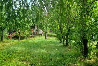 Casă cu 4 camere cu Teren 3200 Mp în Fitionești - 4
