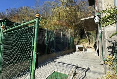 Casă cu 3 camere cu Teren 250 Mp în Vitrometan - 1