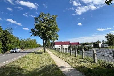 Teren de 3000 mp, în Buhuși - 7